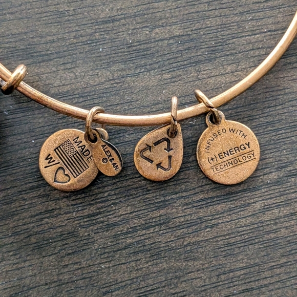 Alex and Ani Bronze Pineapple Charm Bracelet - Picture 2 of 4
